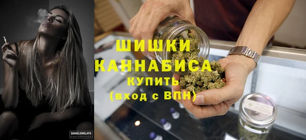 дурь Бородино