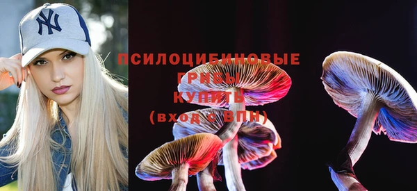 прущий лед Бугульма