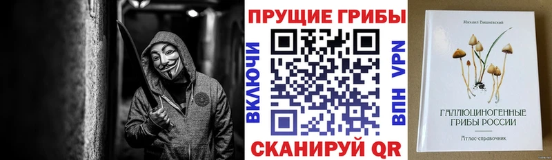 Галлюциногенные грибы Psilocybine cubensis  закладка  Вяземский 